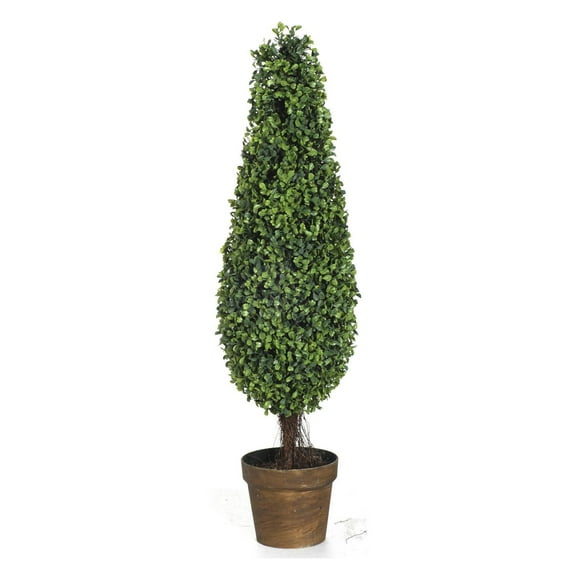 Boxwood Tree-Color:Green,Style:Botanical