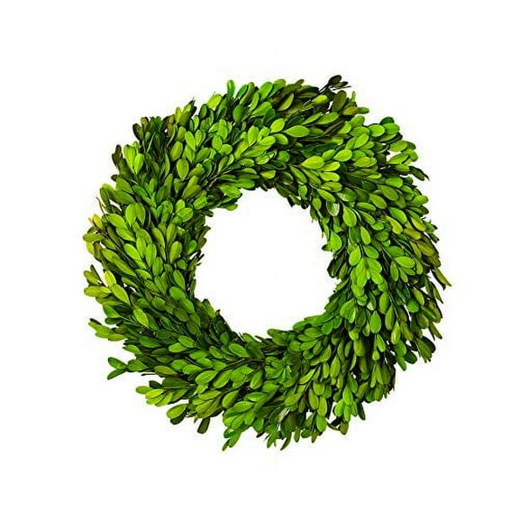 Boxwood Wreath 10 inch Preserved Nature Boxwood Wreath Home Decor Stay Fresh for Years Thanksgiving, Christmas Rustic Farmhouse Holiday Home Decor, Green