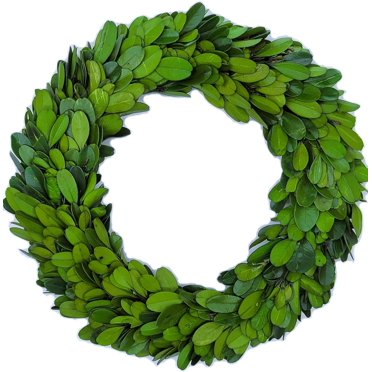CWI New England Boxwood Faux Candle Ring Wreath – 5" Green Farmhouse Decor