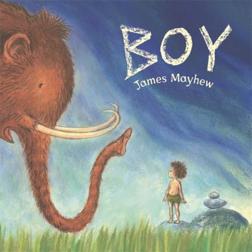 Pre-Owned Boy (Paperback) 1408314096 9781408314098