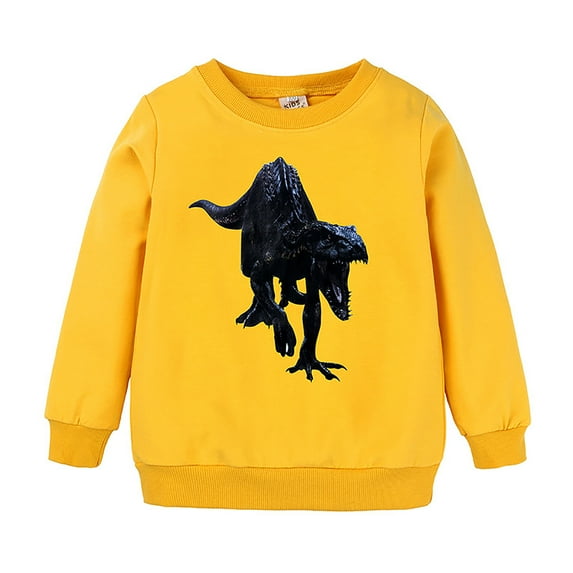Boy Hoodies Size 10-12 Little Boys Girls Kids Unisex Cartoon Animals Dinosaur Printed Sweatshirt Pullover Hoodie For Girls Boys,4-5 Years,Z4-Yellow