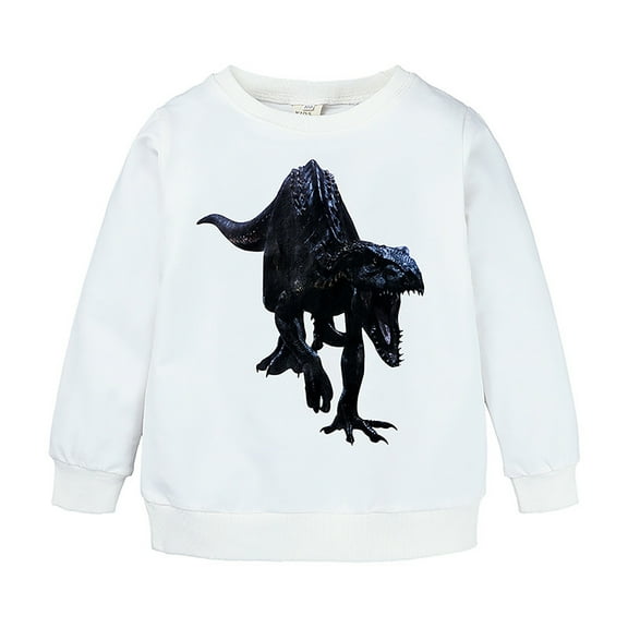 Boy Hoodies Size 7 Little Boys Girls Kids Unisex Cartoon Animals Dinosaur Printed Sweatshirt Pullover Hoodie For Girls Boys,3-4 Years,Z4-White