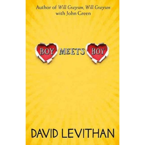 Boy Meets Boy by David Levithan : A YA story of friendship and love 2023 Paperback NEW