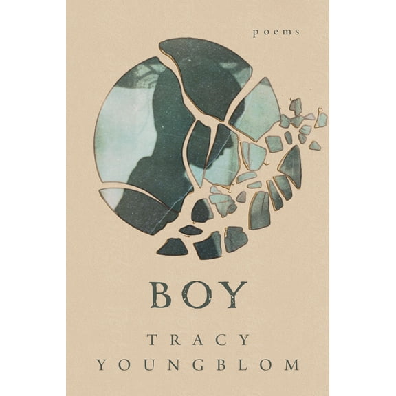 Boy (Paperback)
