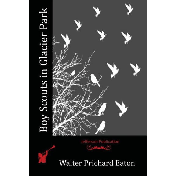 Boy Scouts in Glacier Park (Paperback)