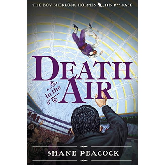 Pre-Owned Death in the Air (Paperback) 0887769284 9780887769283