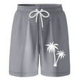 thumbnail image 1 of Boy Swim Trunks 10-12 Years Jogger Shorts Boys' Swimwear Beach Shorts Board Shorts #Grey, 1 of 5