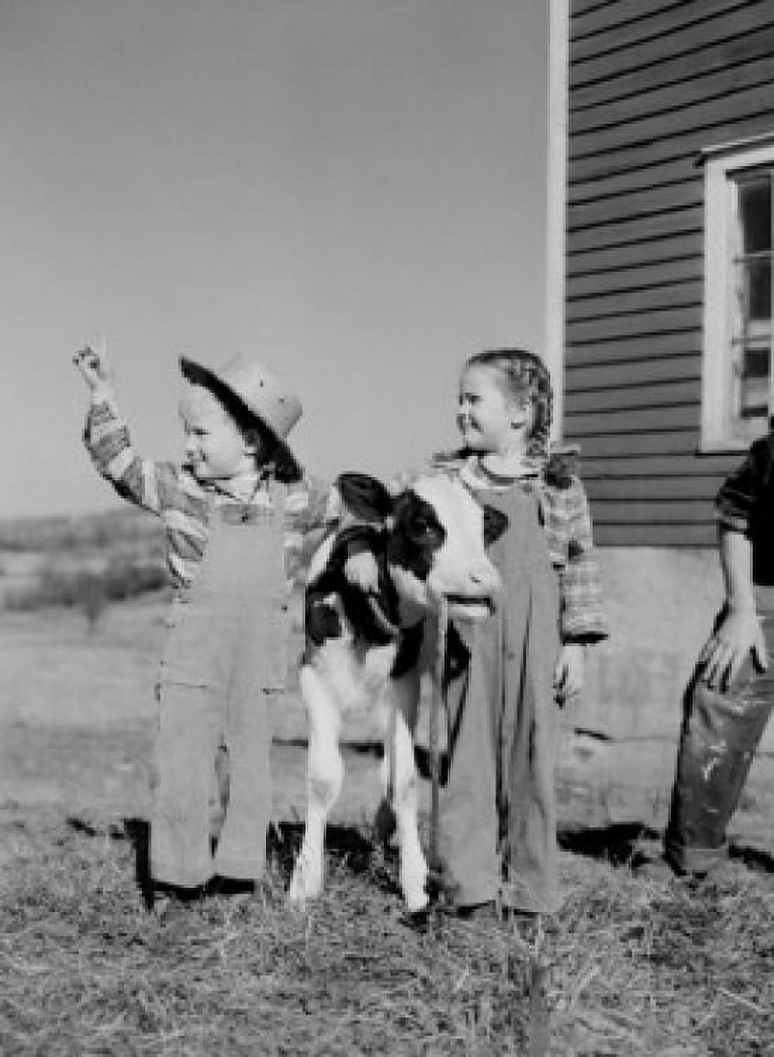 Boy and girl standing with calf on farm Canvas Art - (18 x 24)
