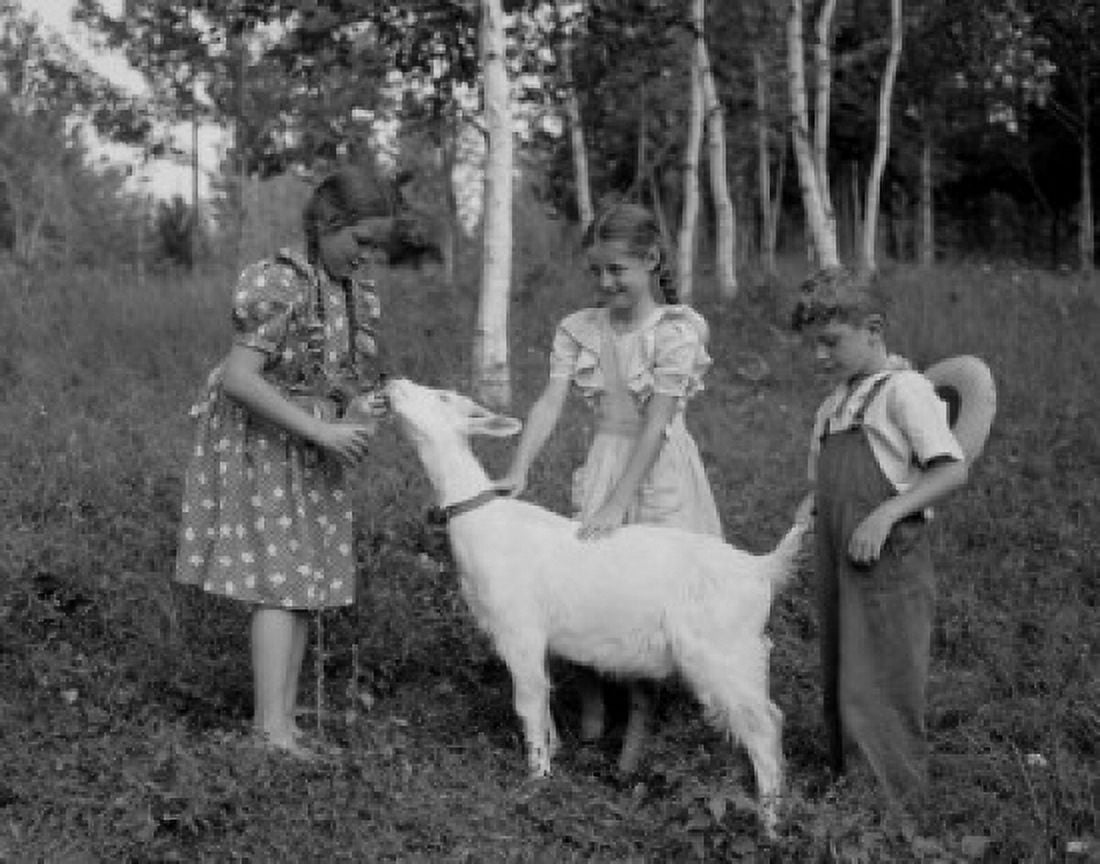Boy and girls playing with goat Canvas Art - (18 x 24)