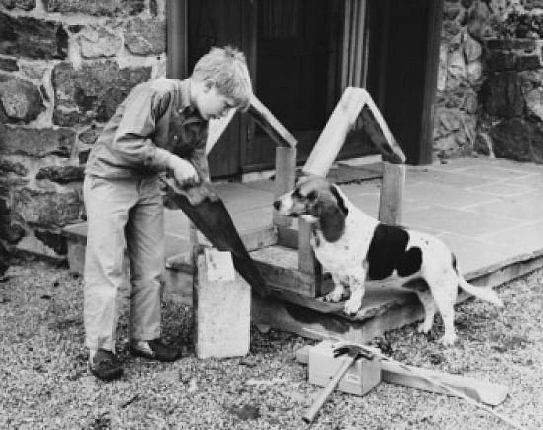 Boy building his dog a dog house Canvas Art - (24 x 36)