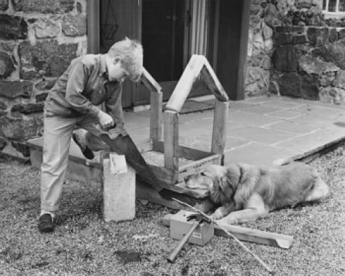 Boy building his dog a dog house Canvas Art - (24 x 36)