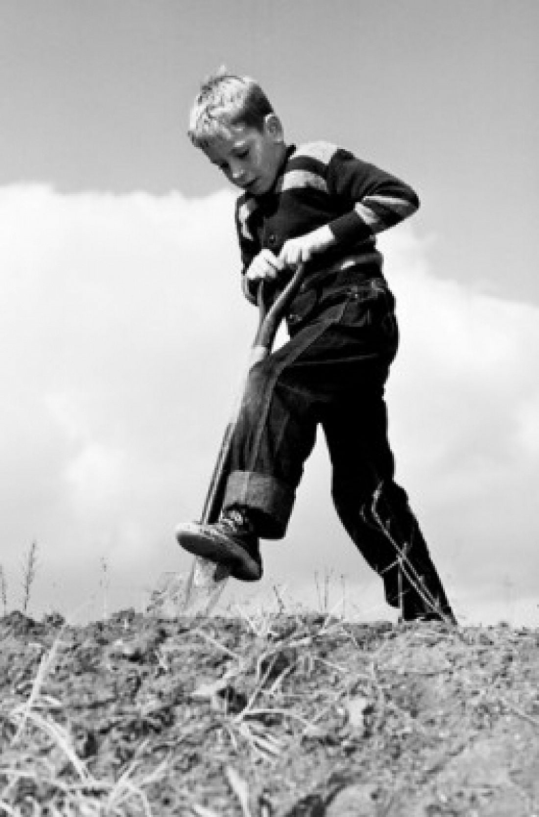 Boy digging with shovel Canvas Art - (18 x 24)