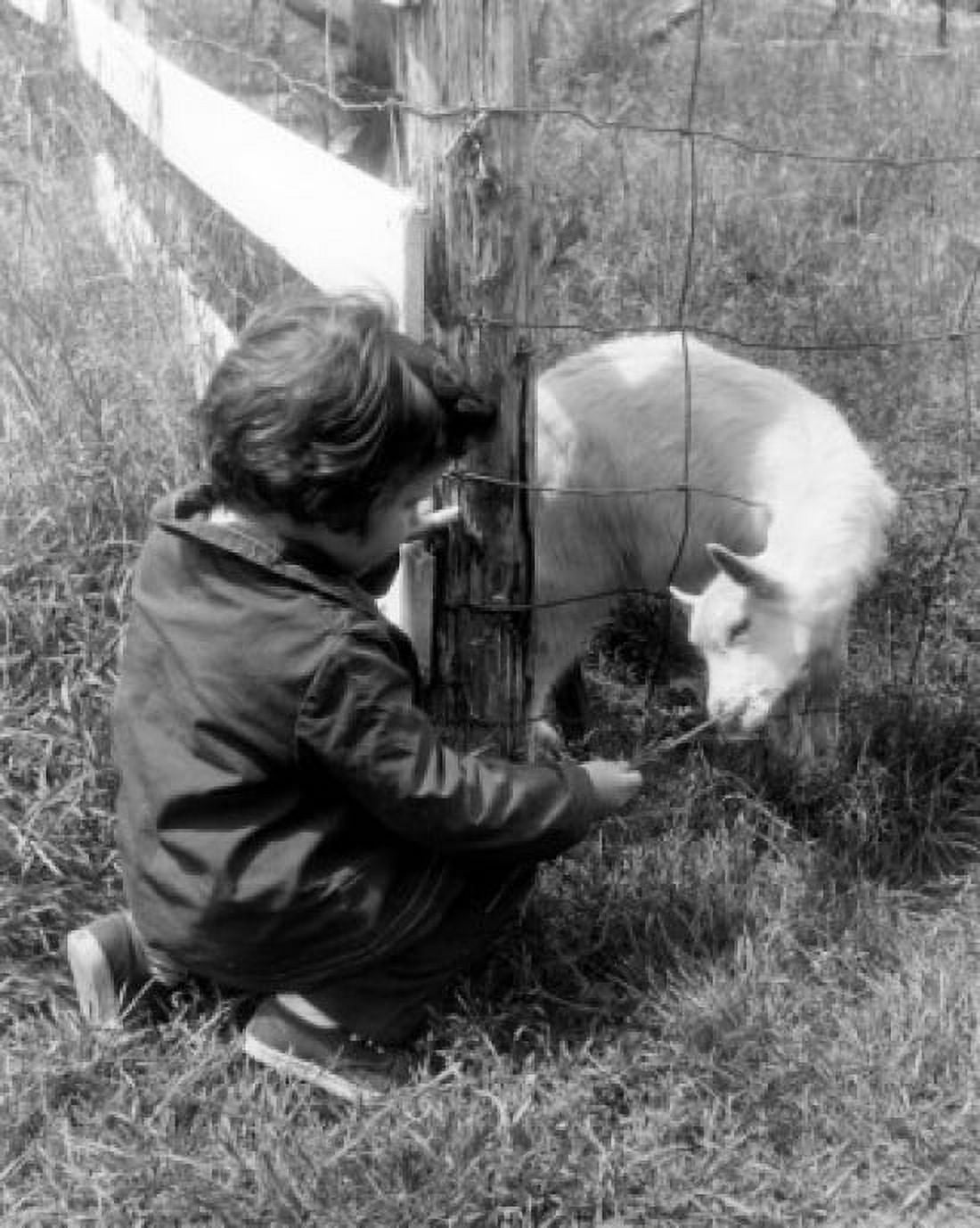 Boy feeding goat through fence Canvas Art - (18 x 24)