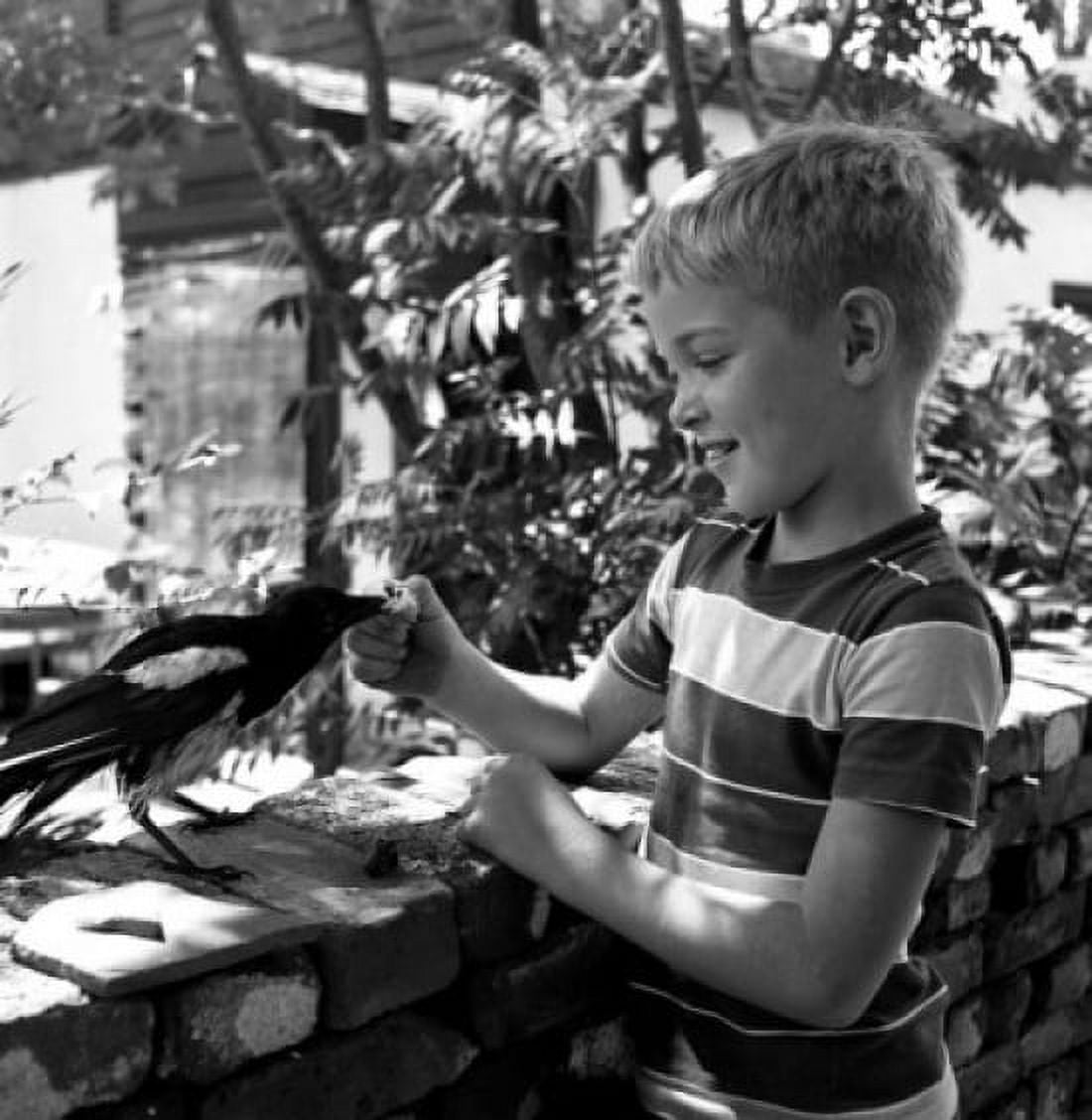 Boy feeding magpie Canvas Art - (24 x 36)