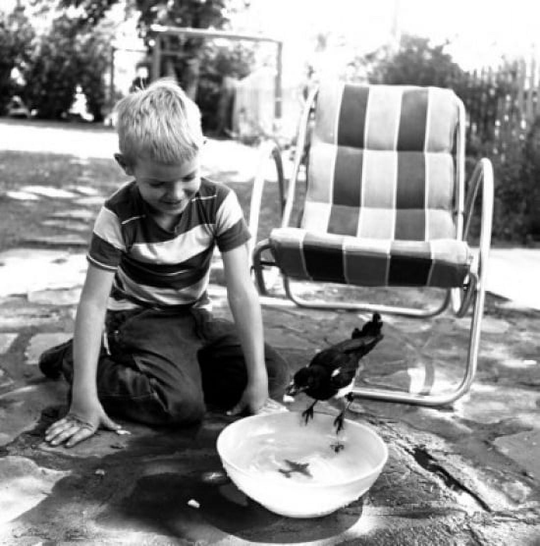 Boy feeding magpie Canvas Art -  (24 x 36)