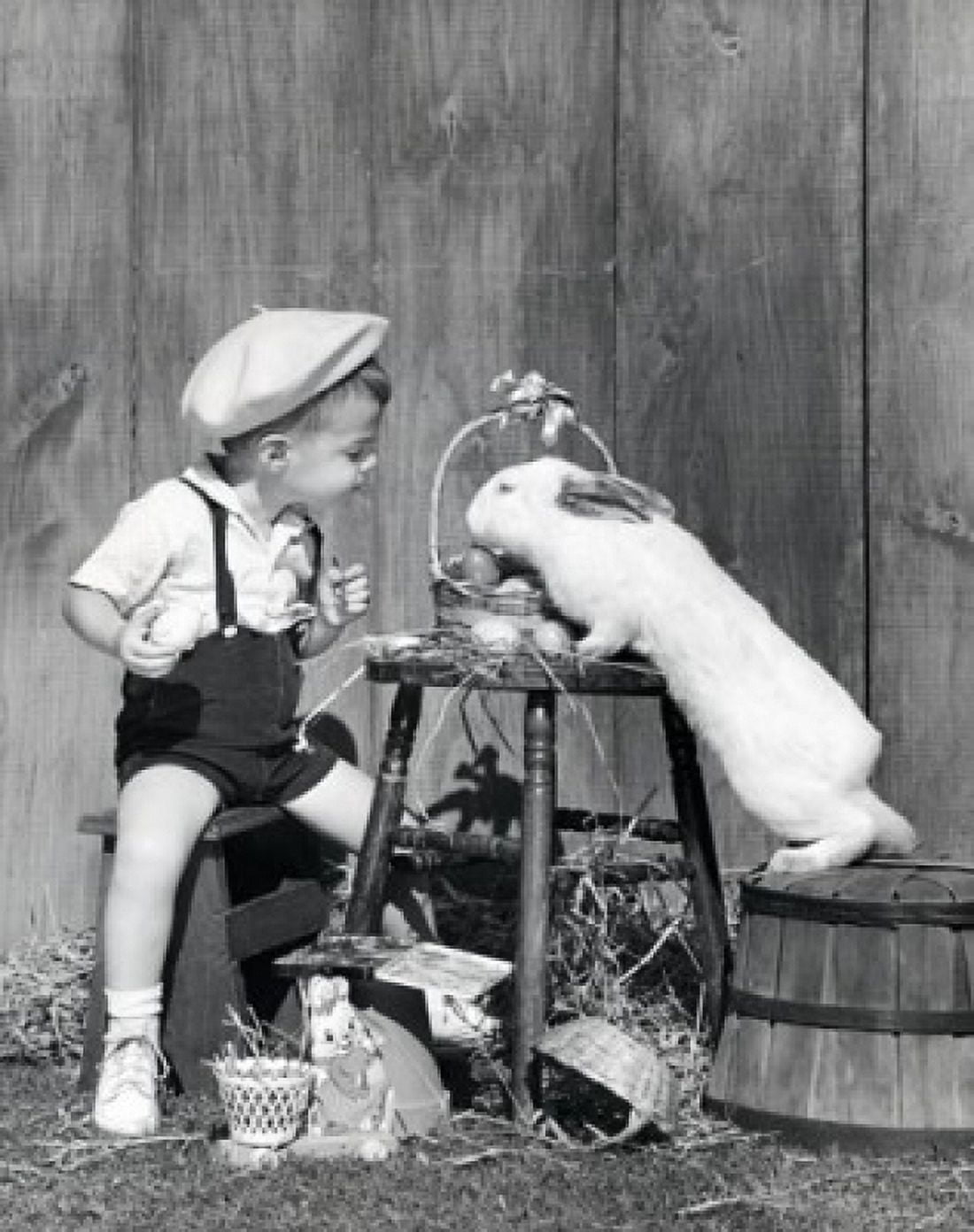 Boy looking at rabbit reaching for Easter eggs Canvas Art - (24 x 36)
