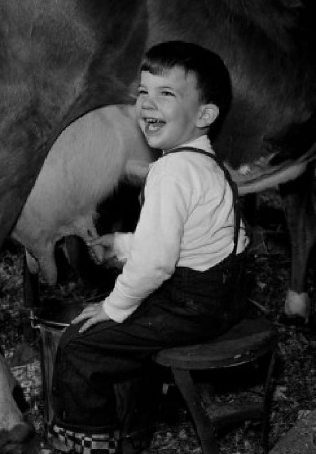 Boy milking cow Canvas Art - (24 x 36)