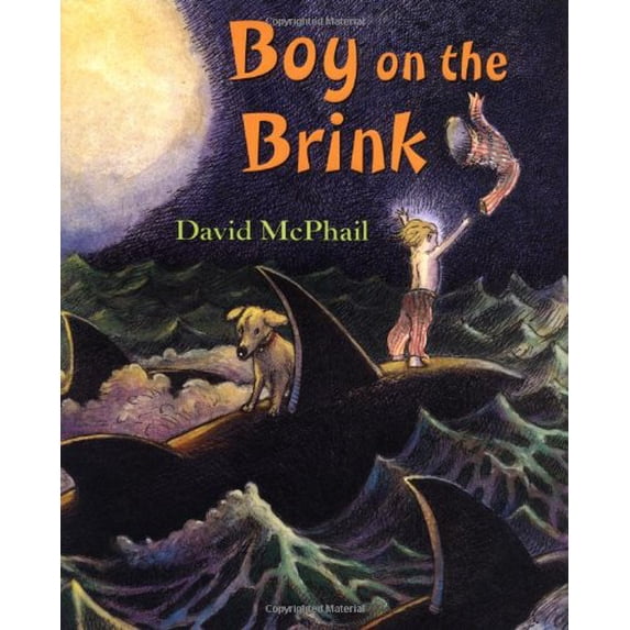 Pre-Owned Boy on the Brink (Hardcover) 0805076182 9780805076189