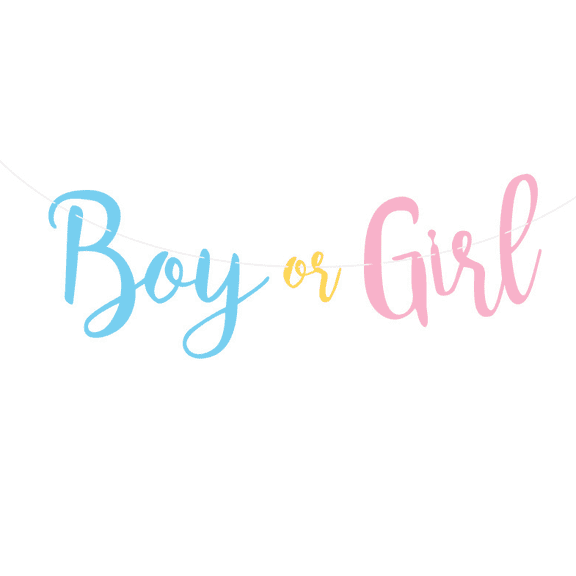 Boy or Girl Banner, Blue and Pink Script, Gender Reveal Party Decoration