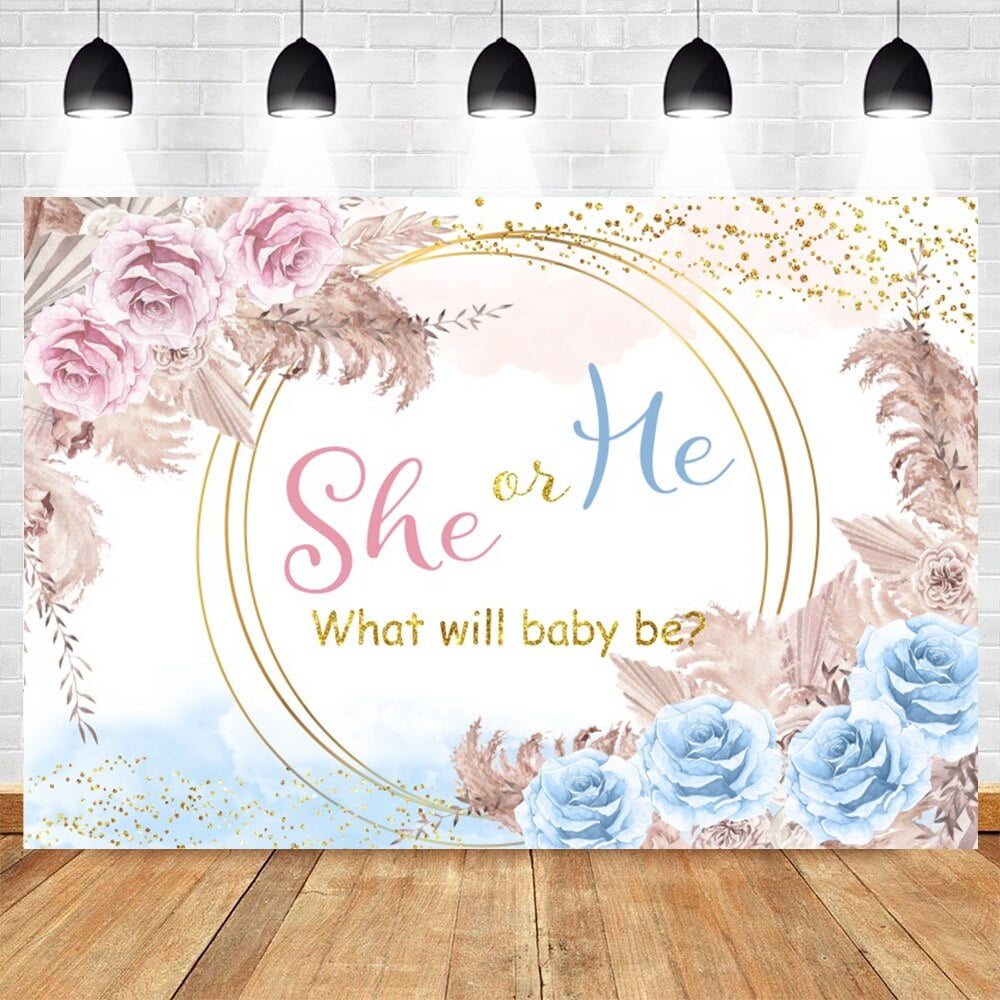 Boy or Girl Gender Reveal Backdrop He Or She Baby Shower Party Blue
