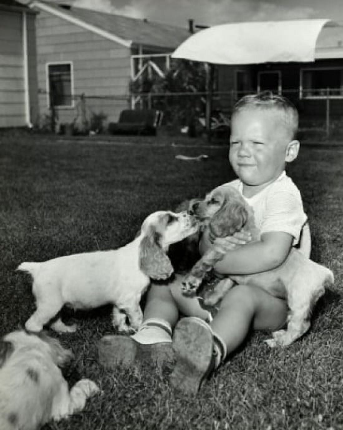 Boy playing with three puppies Canvas Art - (24 x 36)