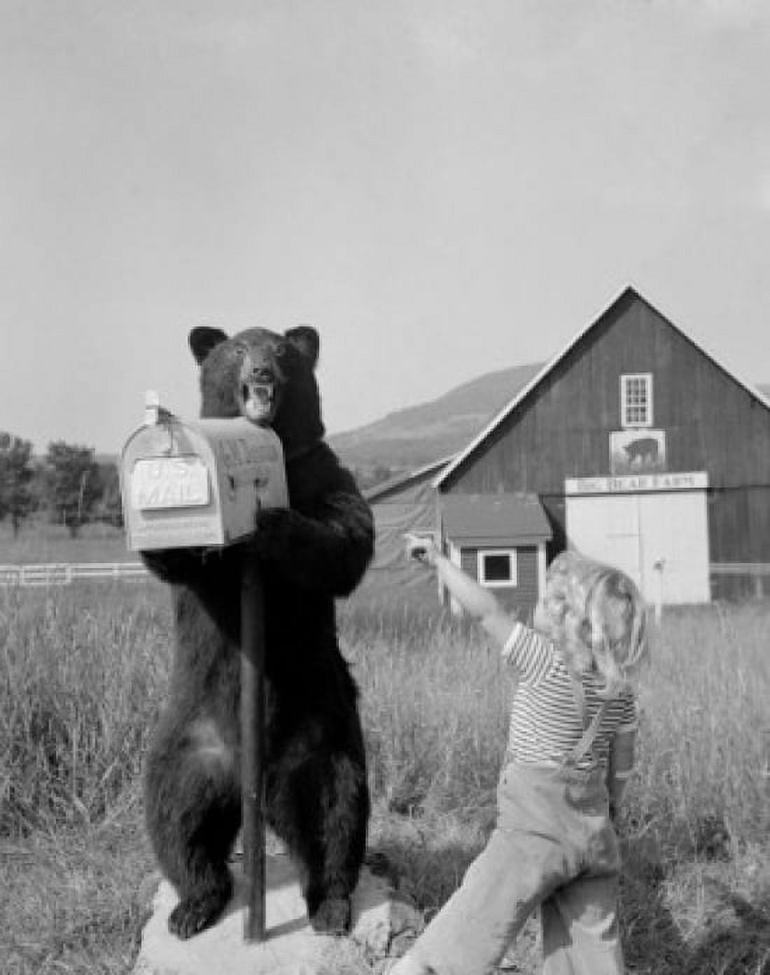 Boy pointing on stuffed bear holding mail box in front of farm building Canvas Art - (18 x 24)