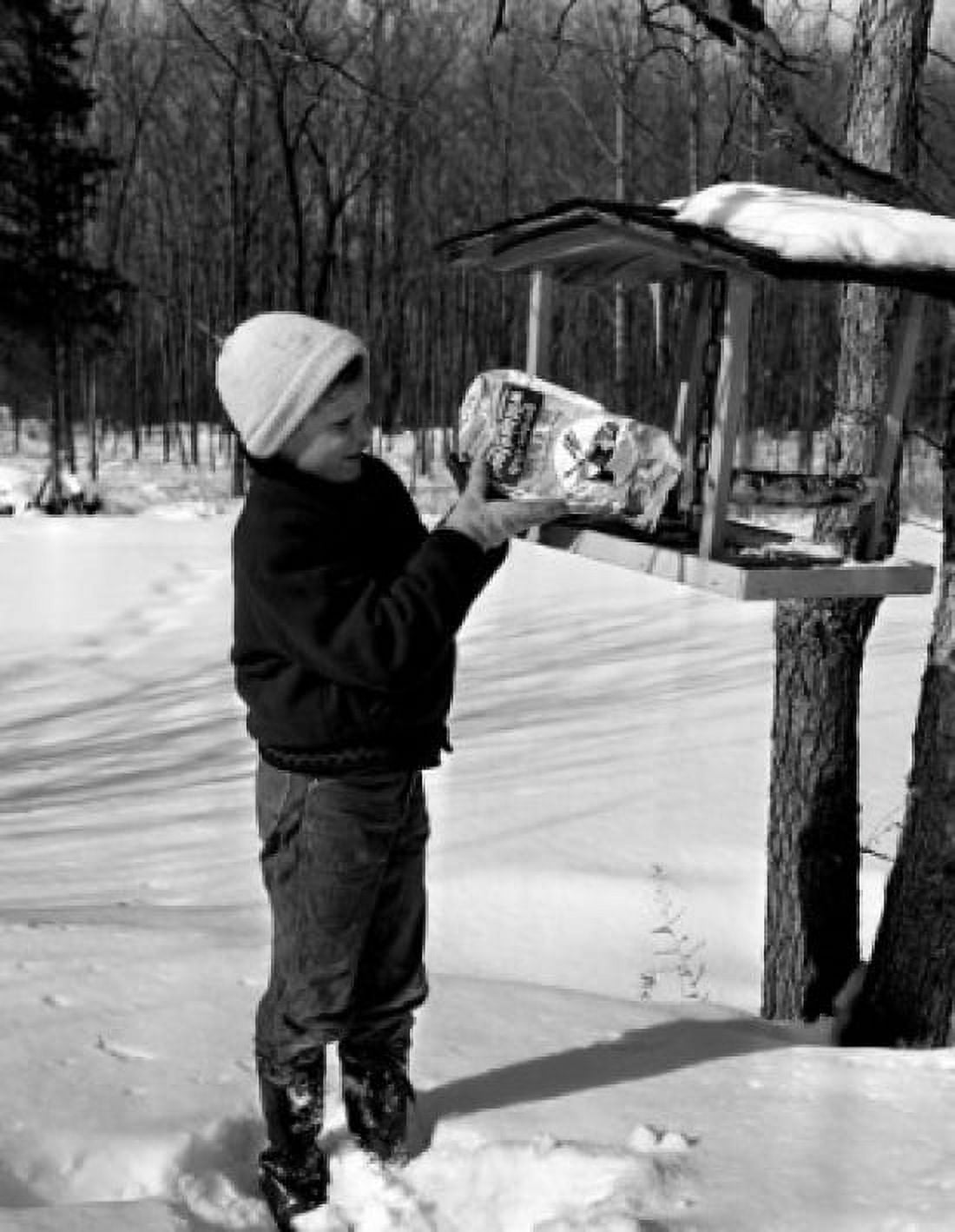 Boy putting seeds into bird feeder Canvas Art - (24 x 36)