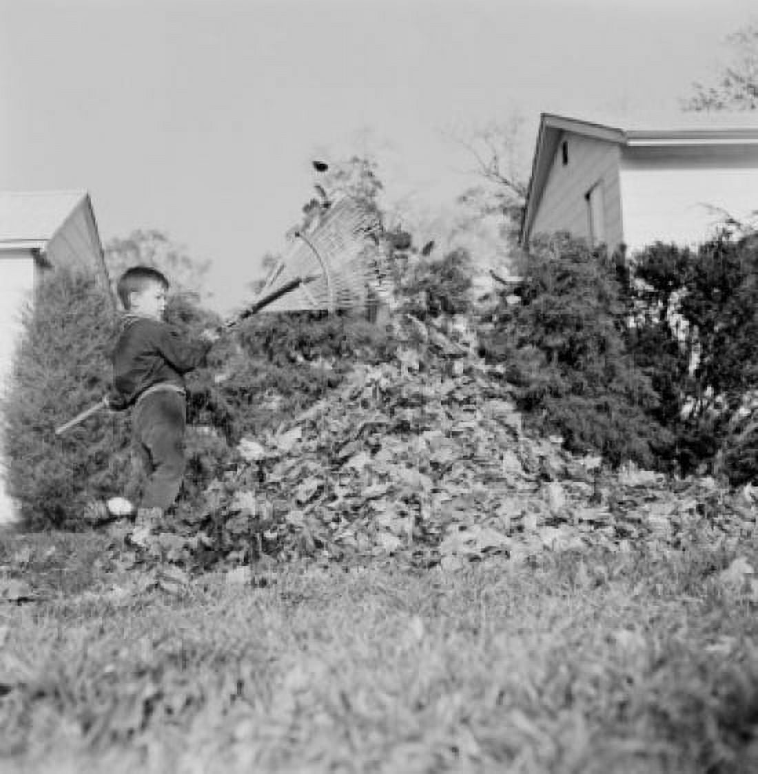 Boy raking dead leaves in garden Canvas Art - (24 x 36)