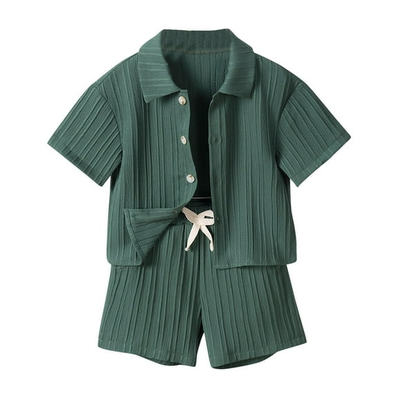 Boy's 2 Piece Outfit Set Vacation Short Sets Button Down Shirt and Elastic Waist Shorts Casual Clothes