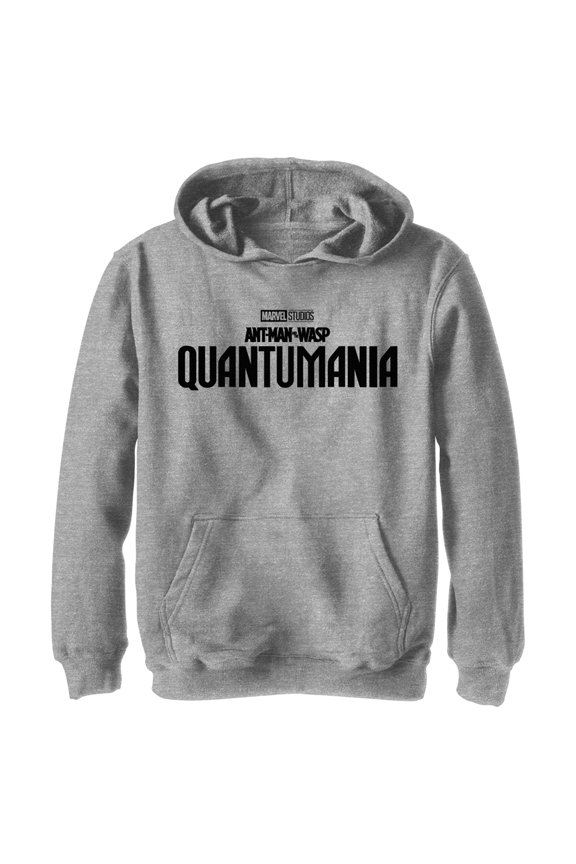 Boy's Ant-Man and the Wasp: Quantumania Movie Logo Black Pull Over Hoodie Athletic Heather Medium