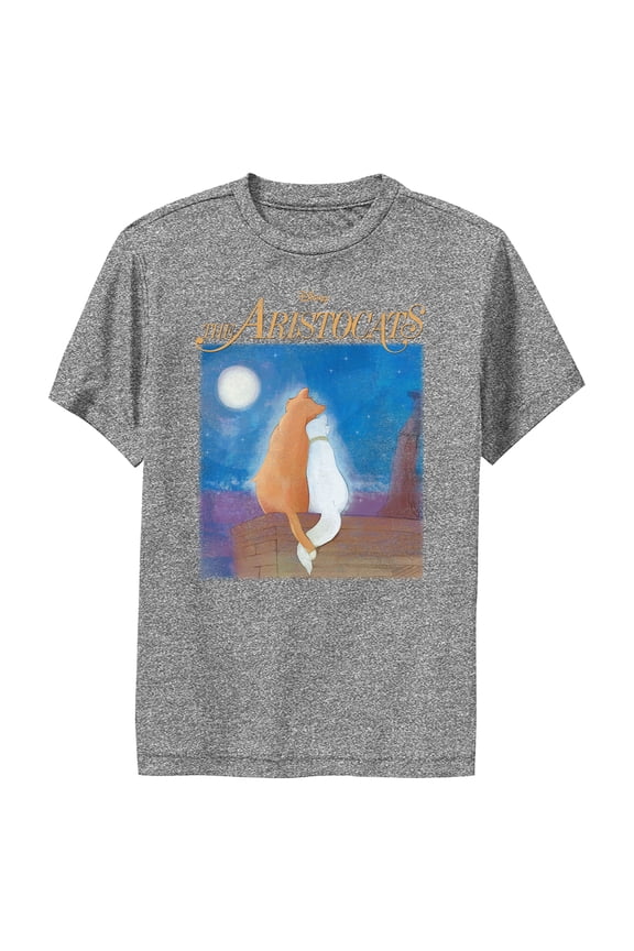 Boy's Aristocats Duchess and O'Malley Night Sky Performance Graphic Tee Charcoal Heather Medium
