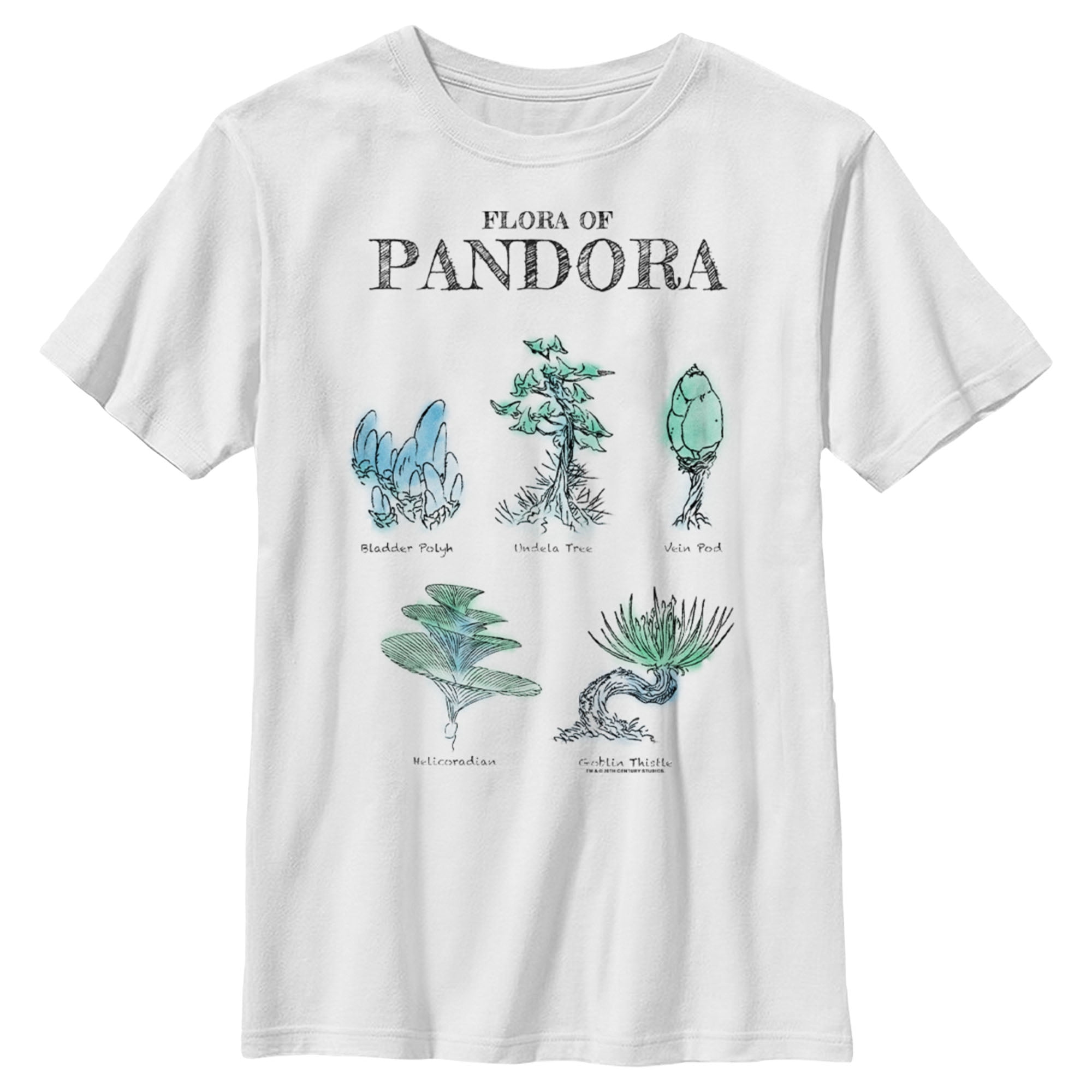 Boy's Avatar Flora of Pandora Sketches Graphic Tee White X Small ...