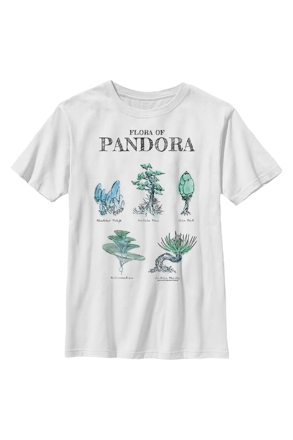 Boy's Avatar Flora of Pandora Sketches  Graphic Tee White X Small