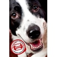 thumbnail image 1 of Boy's Best Friend, (Paperback), 1 of 1