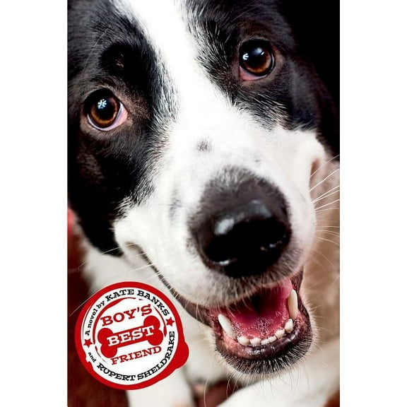 Boy's Best Friend (Paperback)