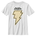 thumbnail image 1 of Boy's Black Adam Yellow Lightning Bolt  Graphic Tee White Small, 1 of 4