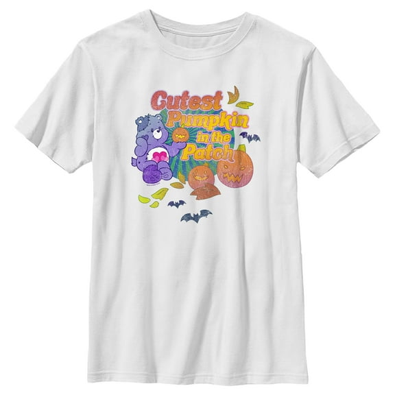 Boy's Care Bears Harmony Bear Cutest Pumpkin in the Patch  Graphic T-Shirt