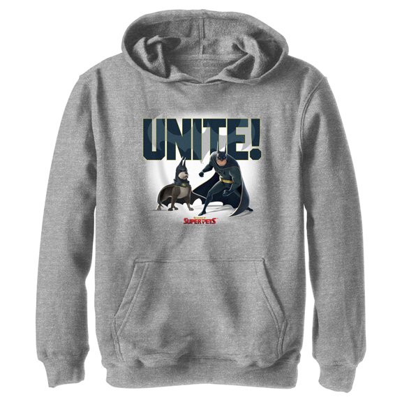 Boy's DC League of Super-Pets Batman and Ace Unite Pull Over Hoodie Athletic Heather Medium