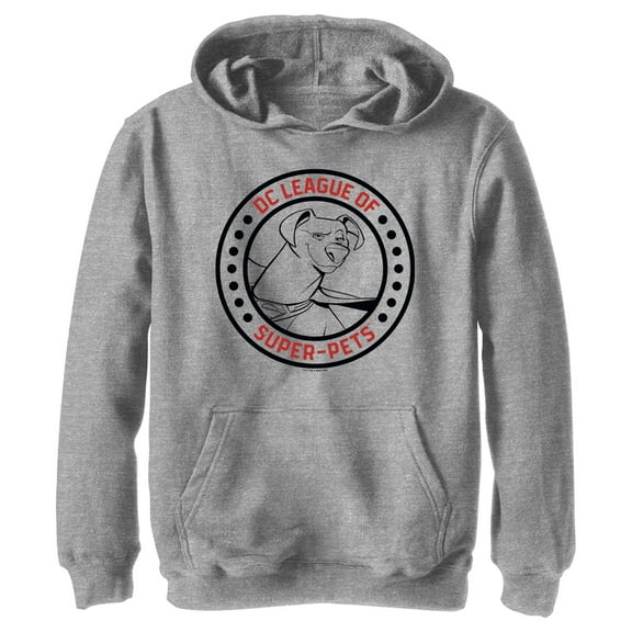 Boy's DC League of Super-Pets Krypto Circle Badge Pull Over Hoodie Athletic Heather Medium
