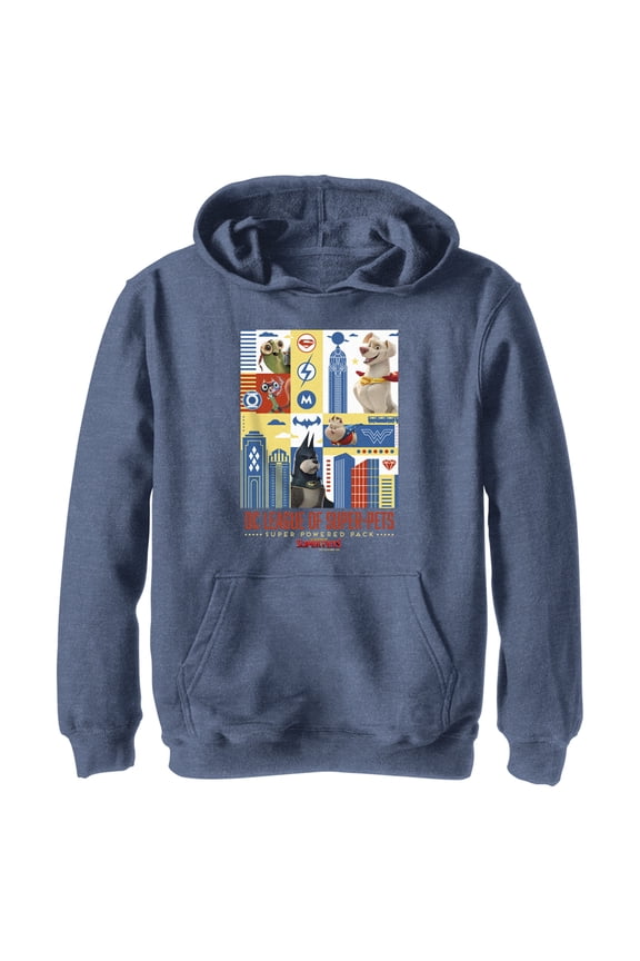 Boy's DC League of Super-Pets Super Powered Pack Panels Pull Over Hoodie Navy Blue Heather Medium
