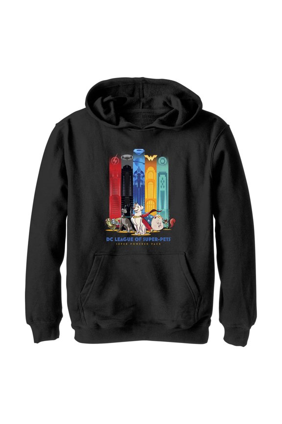 Boy's DC League of Super-Pets Super Powered Pack Towers  Pull Over Hoodie Black Medium