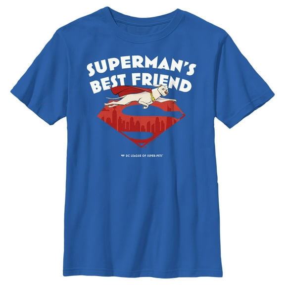 Boy's DC League of Super-Pets Superman's Best Friend Flying Krypto Graphic Tee Royal Blue Small