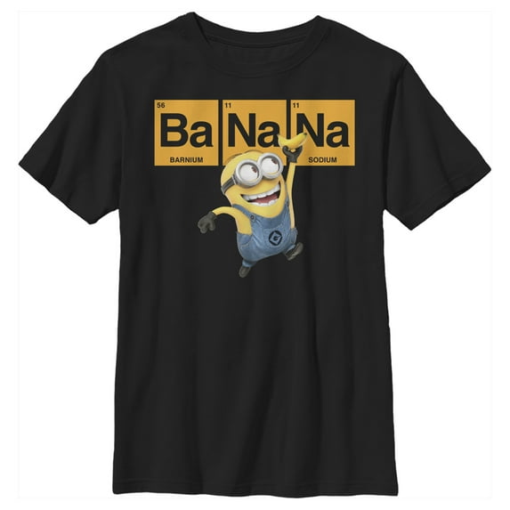 Boy's Despicable Me Minions Elements Graphic Tee Black Medium