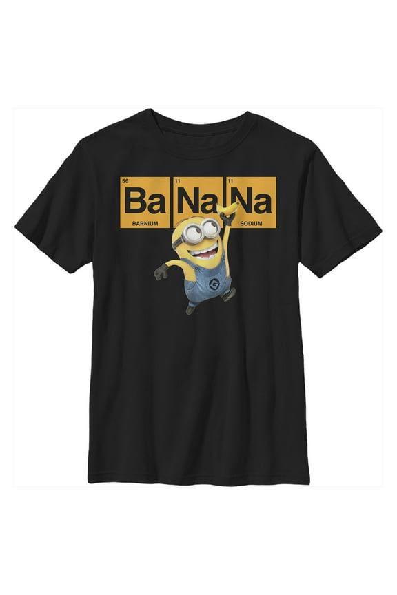 Boy's Despicable Me Minions Elements Graphic Tee Black Medium