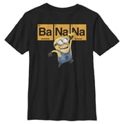 Boy's Despicable Me Minions Elements Graphic Tee Black X Large