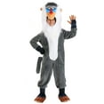 thumbnail image 1 of Boy's Disney The Lion King Rafiki Costume, 1 of 8