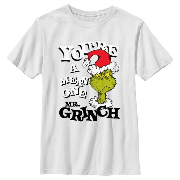 Boy's Dr. Seuss Christmas Grinch You're a Mean One Portrait  Graphic T-Shirt