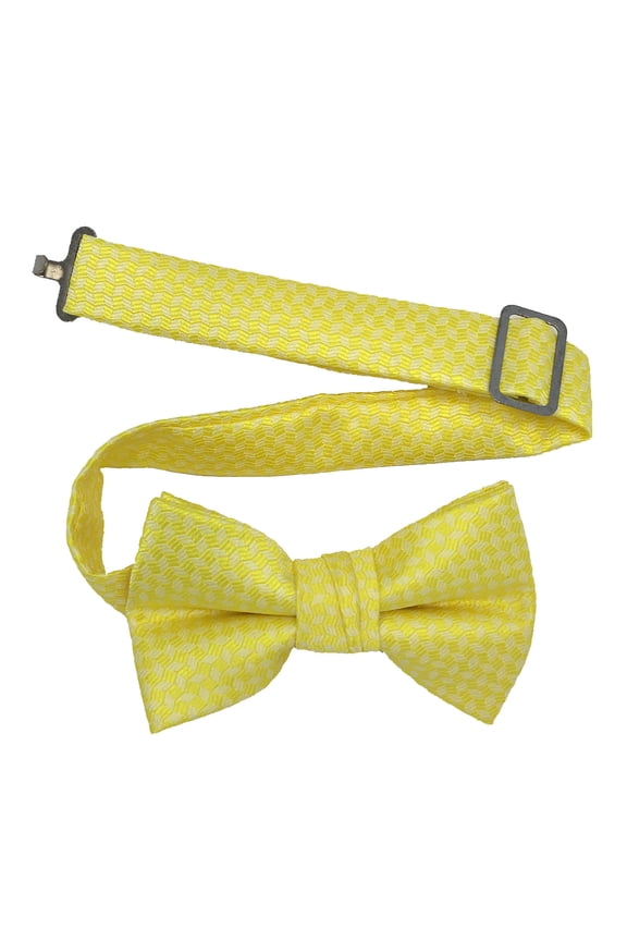 Boy’s Elation Canary Formal Satin Pre-Tied Bow Tie in a Variety of Colors by Spencer J’s Signature Satin Collection