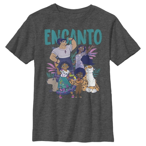 Boy's Encanto The Family With Magical Gifts Graphic Tee Charcoal Heather Medium