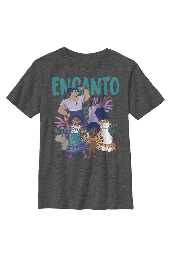 Boy's Encanto The Family With Magical Gifts Graphic Tee Charcoal Heather X Large